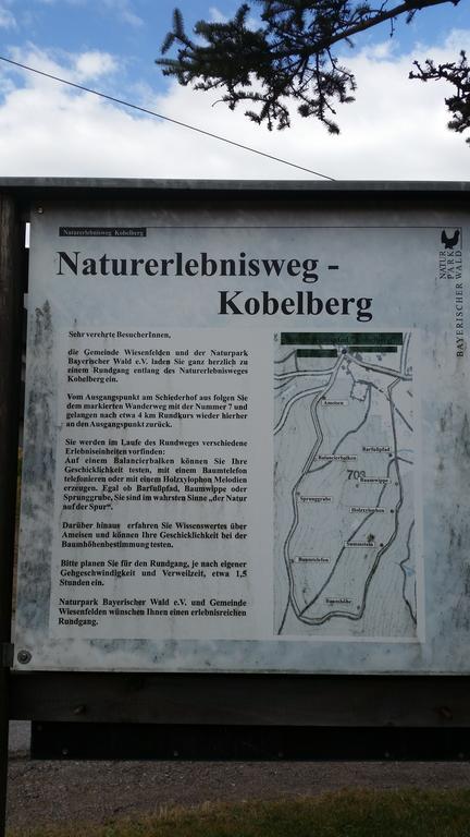 Waldgasthof - Hotel Schiederhof Wiesenfelden Экстерьер фото