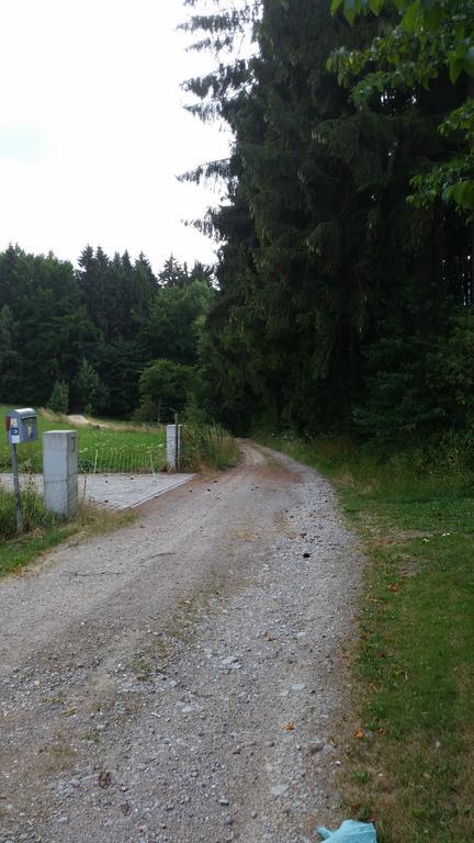 Waldgasthof - Hotel Schiederhof Wiesenfelden Экстерьер фото